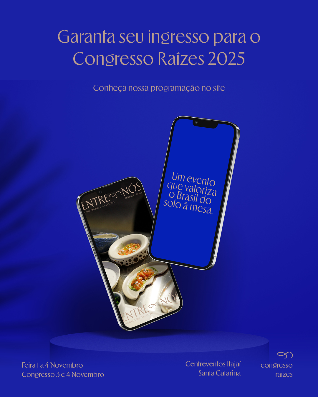 25 08 Raizes4