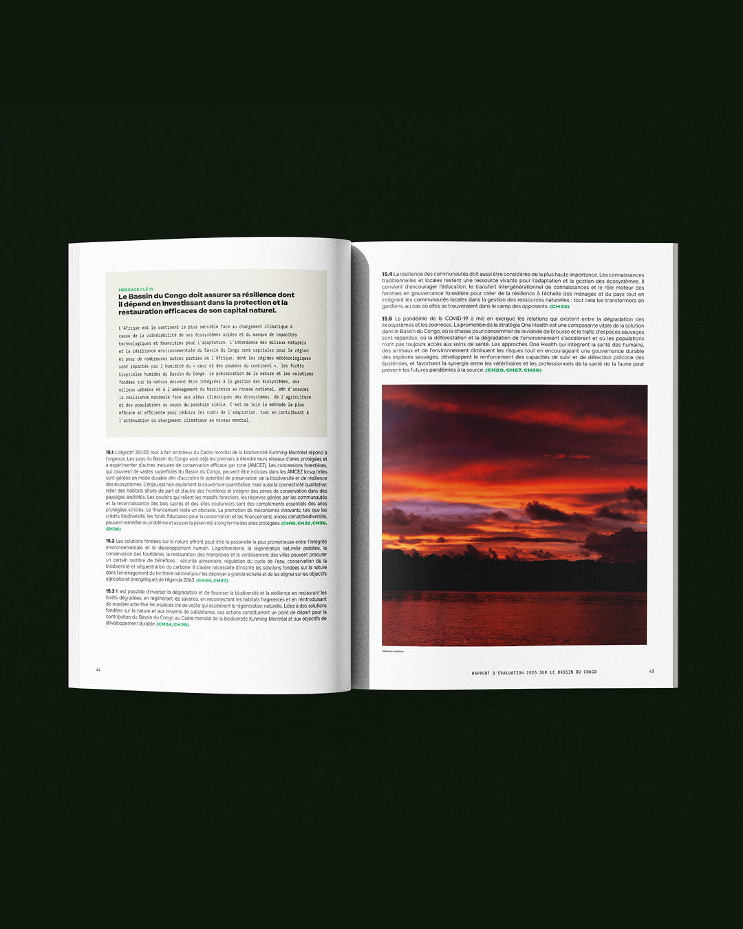 25 11 Congo Basin10